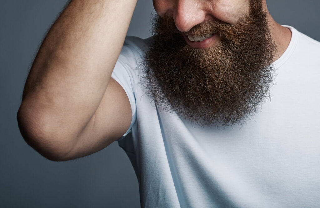Best Beard Straighteners 4 Effective Beard Straighteners Updated Fall